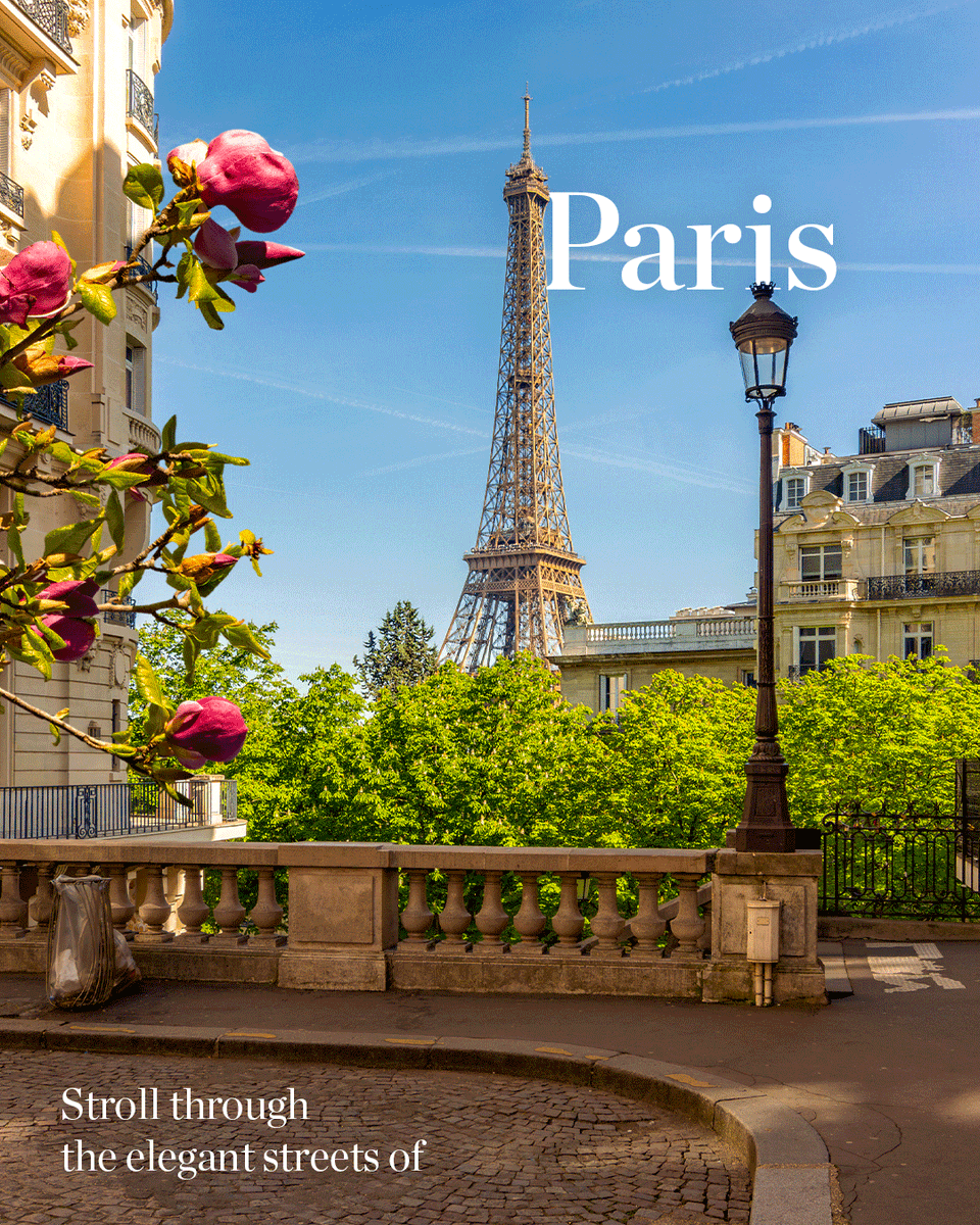 NH Collection tweet media