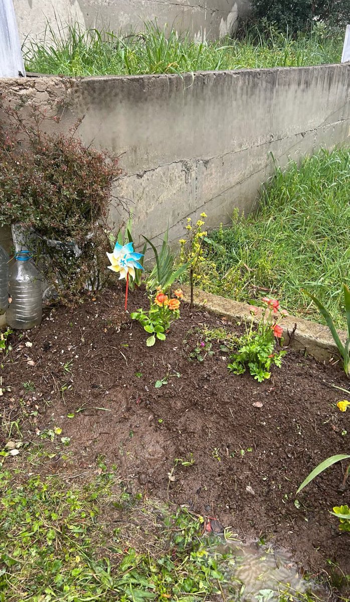 justkorfez 🇹🇷 tweet media