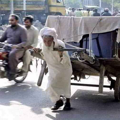 مُحَمَّــــــــــد شَـــاهِد tweet media