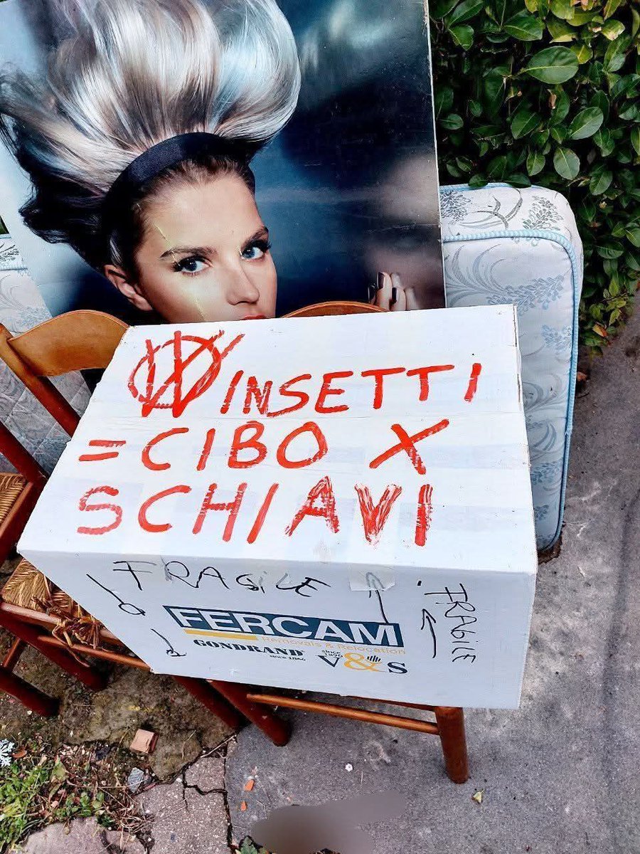 CIBO SINTETICO E DA INSETTI = MERDA TOSSICA!!

I NAZICOMUNISTI CRIMINALI VENDONO IL CIBO SINTETICO E DA INSETTI COME BUONO, SANO E SOSTENIBILE, MA LA VERITÀ È CHE È TOSSICO, INSANO E INSOSTENIBILE!!

CANALE PRINCIPALE V_V
👇👇
t.me/vvvvvinc

⛔️🪳
t.me/insettifuorida…
