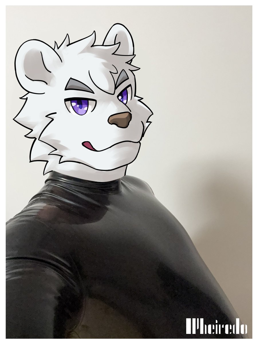 Wheiredo tweet media