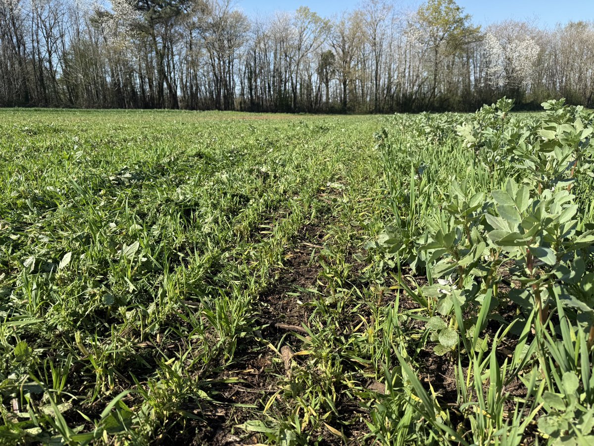 Stéphane Olivier 🇫🇷 tweet media