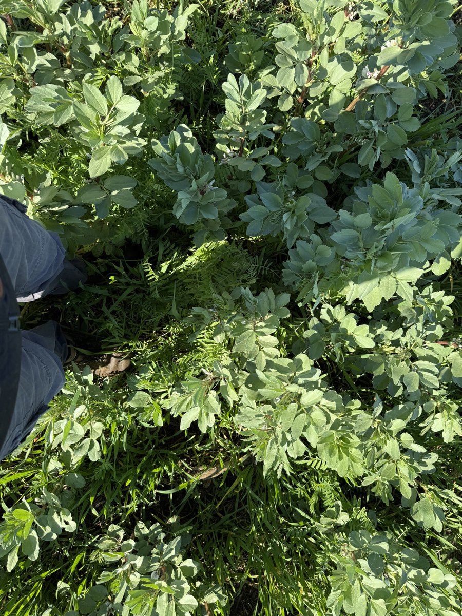 Stéphane Olivier 🇫🇷 tweet media