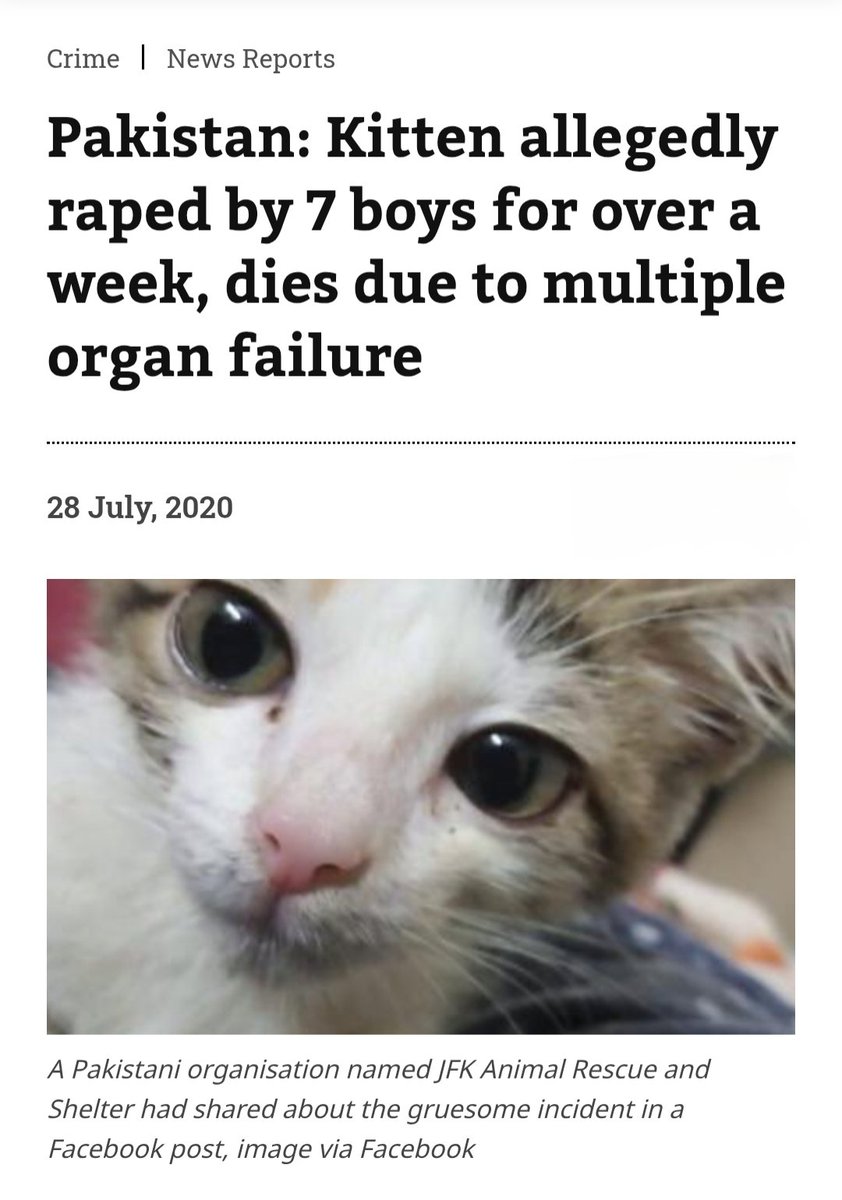 Muhammed Rape🇵🇰 tweet media