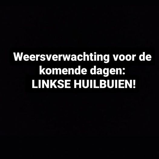 The Isolated tweet media