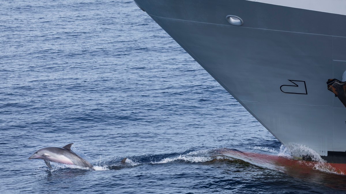 Defence Australia tweet media