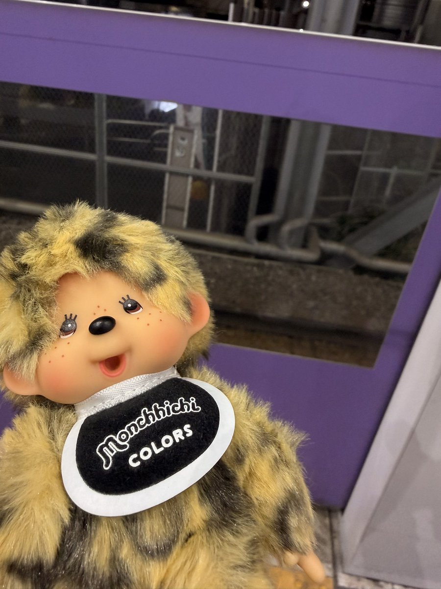 micchie 🍣 🔥 tweet media