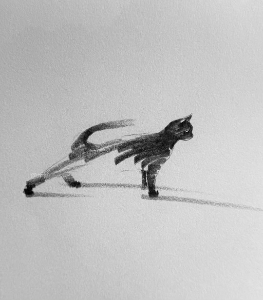 gregorio catarino tweet media