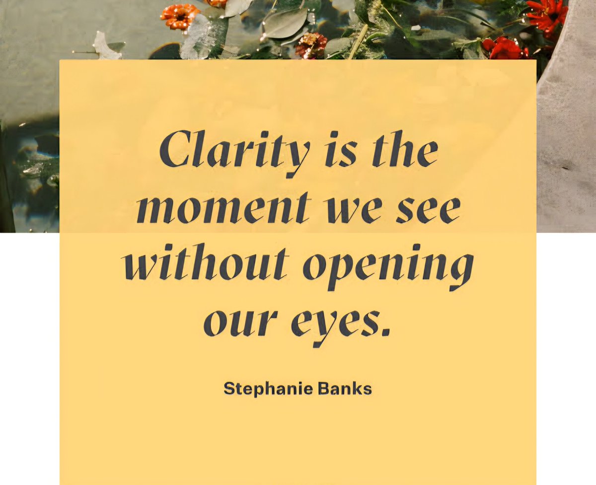 Solitary Owl tweet media