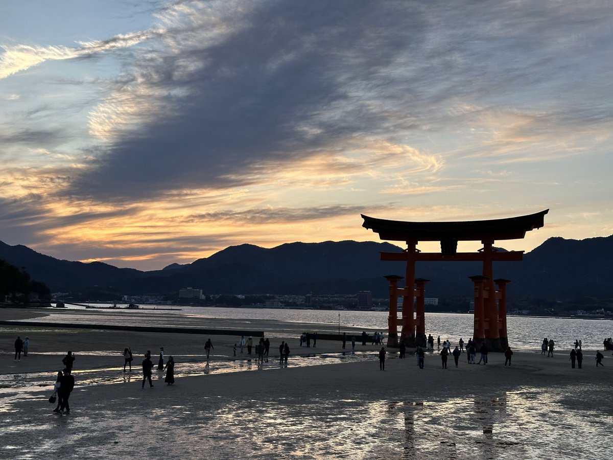 🐥あみこ🐥 tweet media