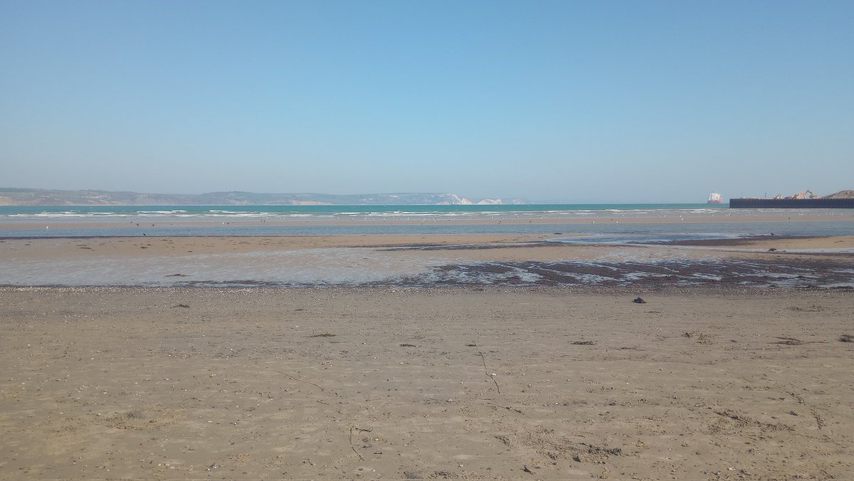 Donna Cullen tweet media