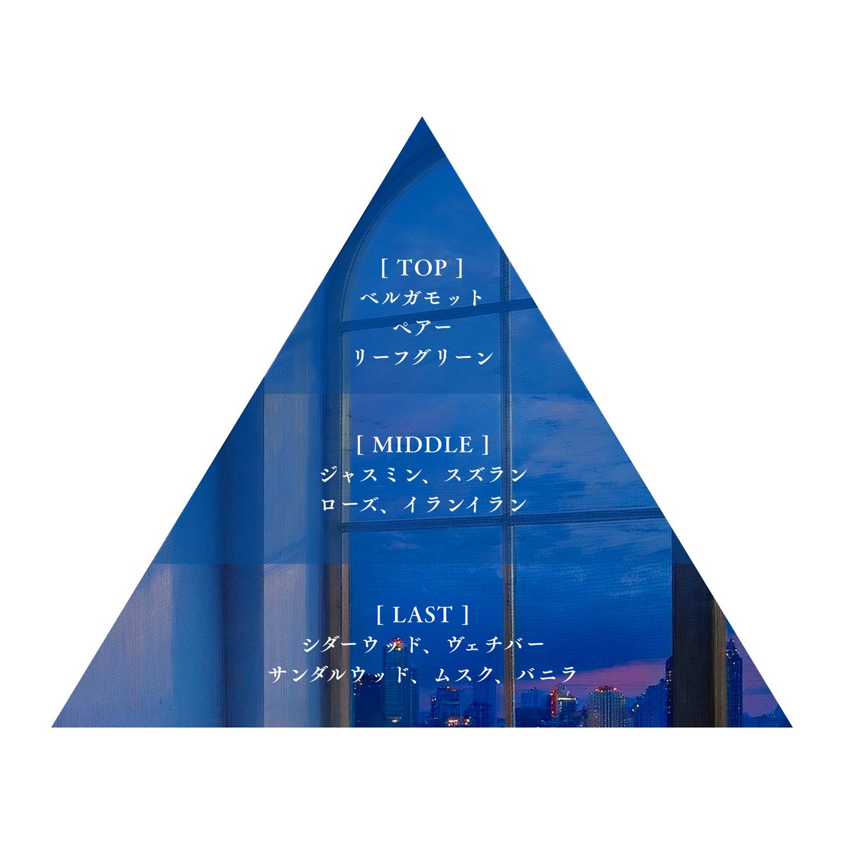 𝐋𝐢𝐛𝐫𝐨𝐚𝐫𝐢𝐚 /リブロアリア tweet media