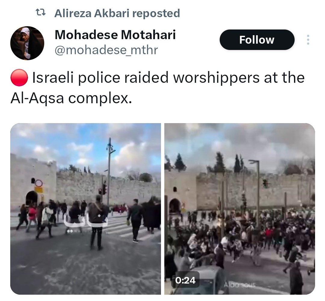 (((WOLFIE SHERMAN))) tweet media