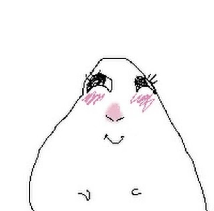 snsoo enhypen is 7🇻🇪 tweet media