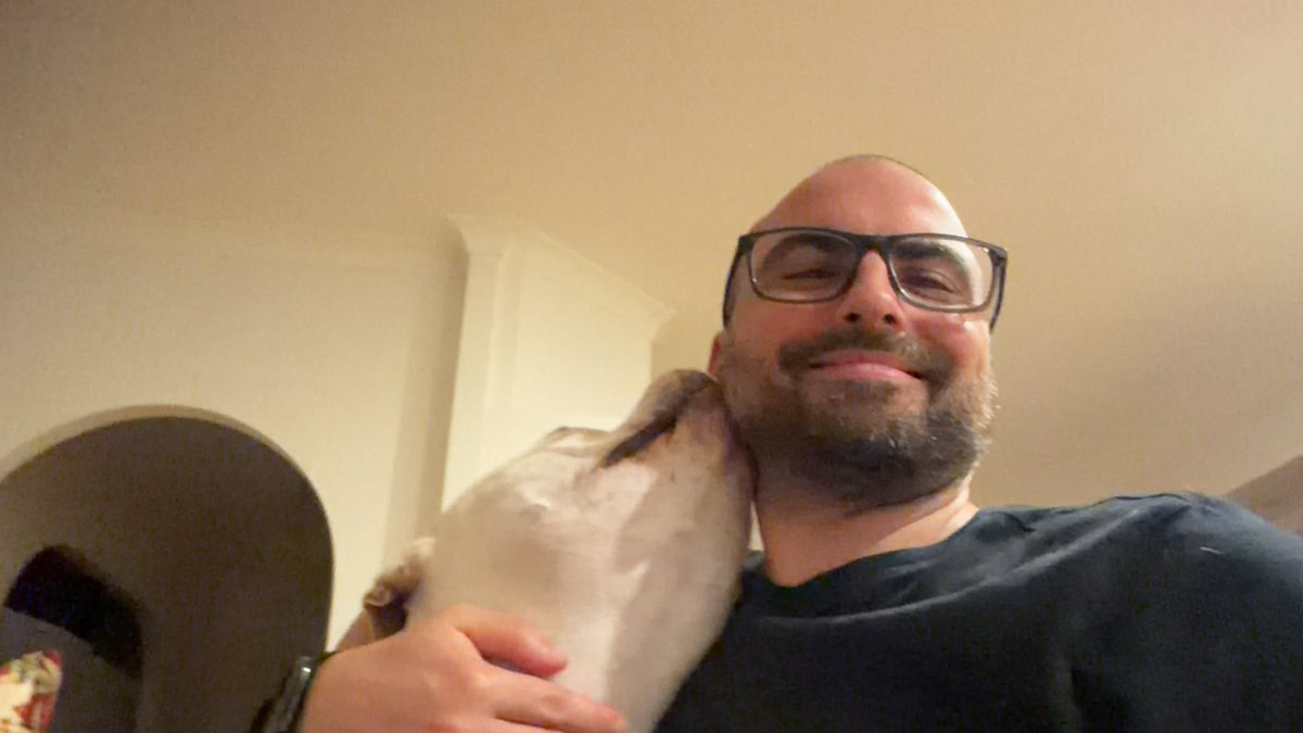 Maurizio tweet media