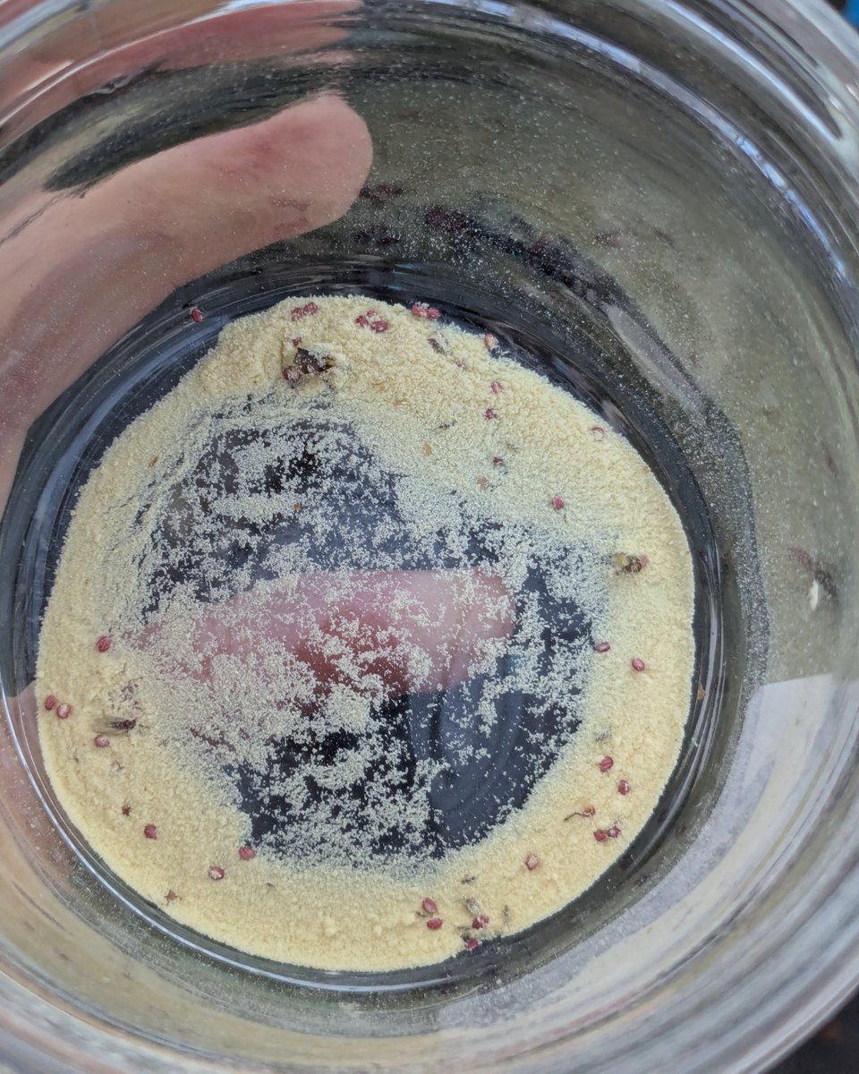 Trees for Life tweet media