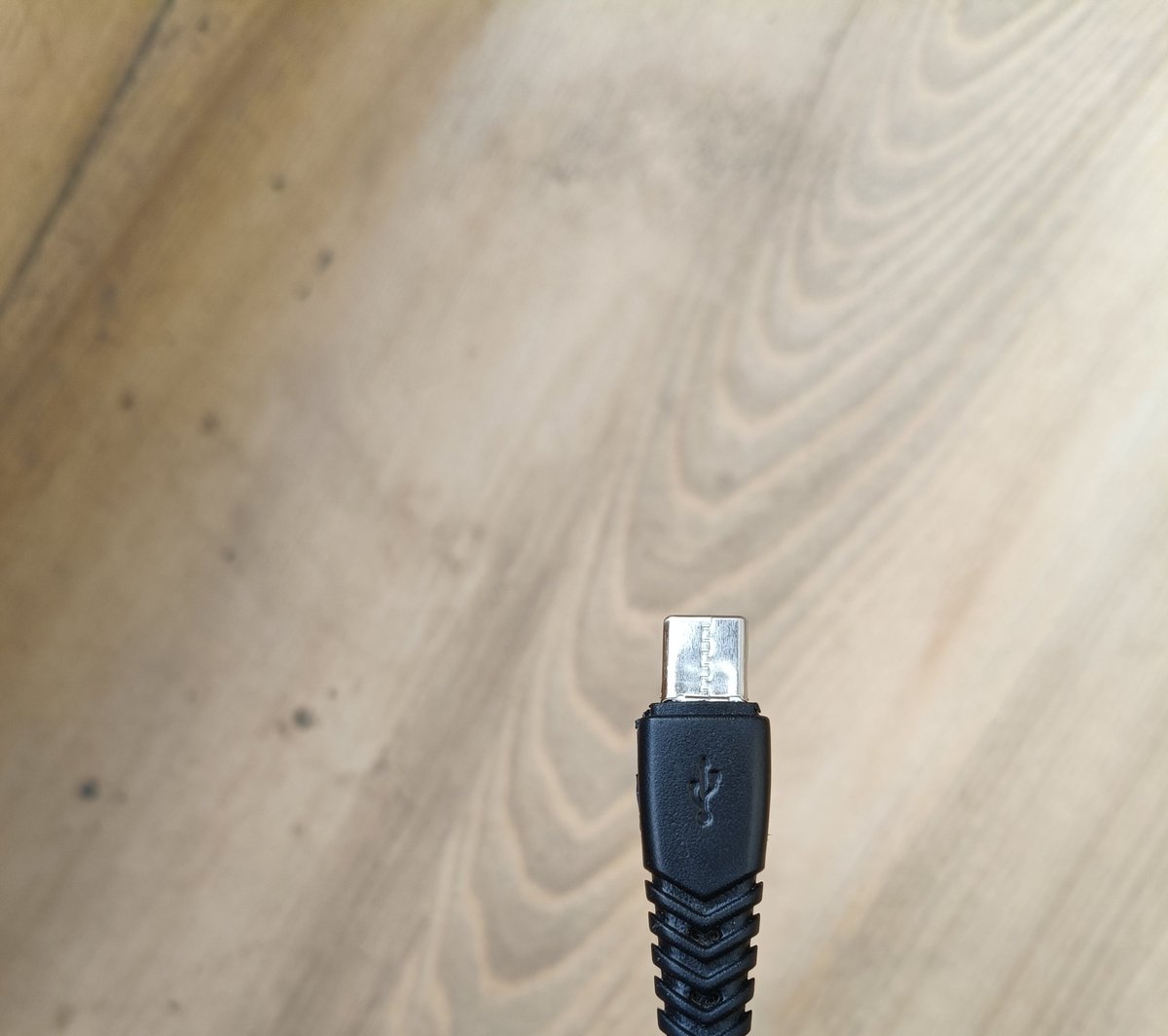 Shaswat Upadhyay tweet media