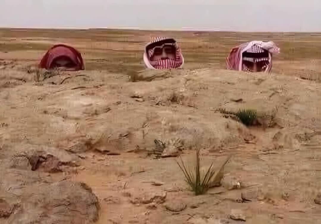 مزاحم الحويت tweet media