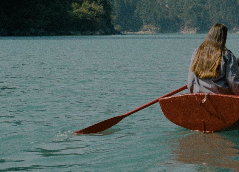 INDICATOR tweet media