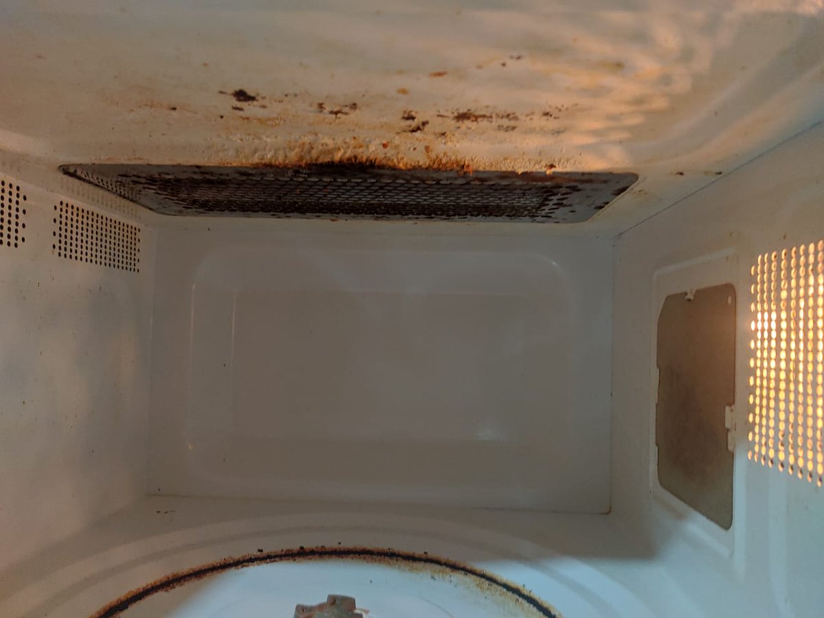 andreaepontes tweet media