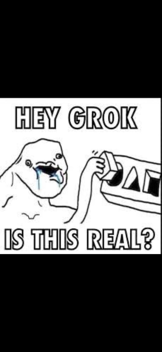 Death By Flamingo Records tweet media