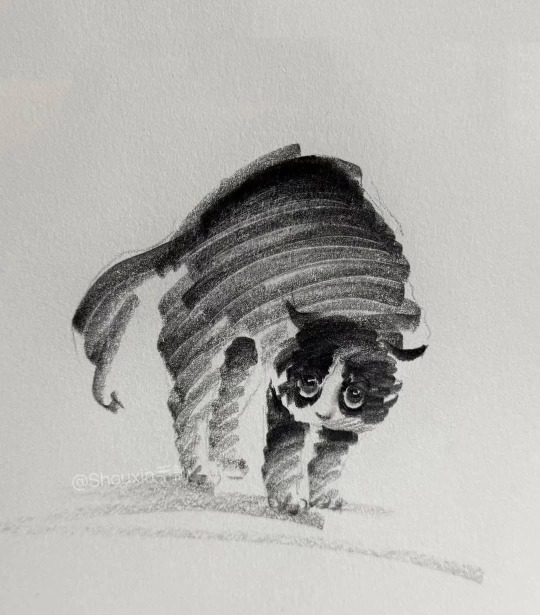 gregorio catarino tweet media