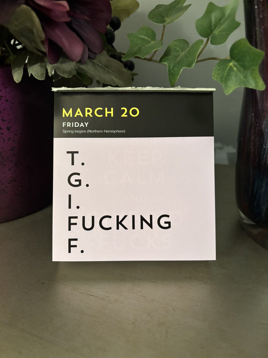 Dina FP 👖🍊🇺🇸🔨 tweet media