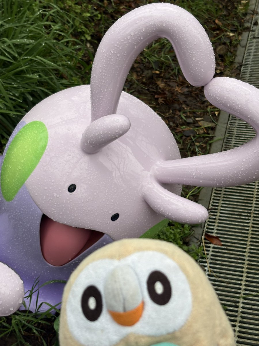 ひよ (@mokuroh_master) on Twitter photo 