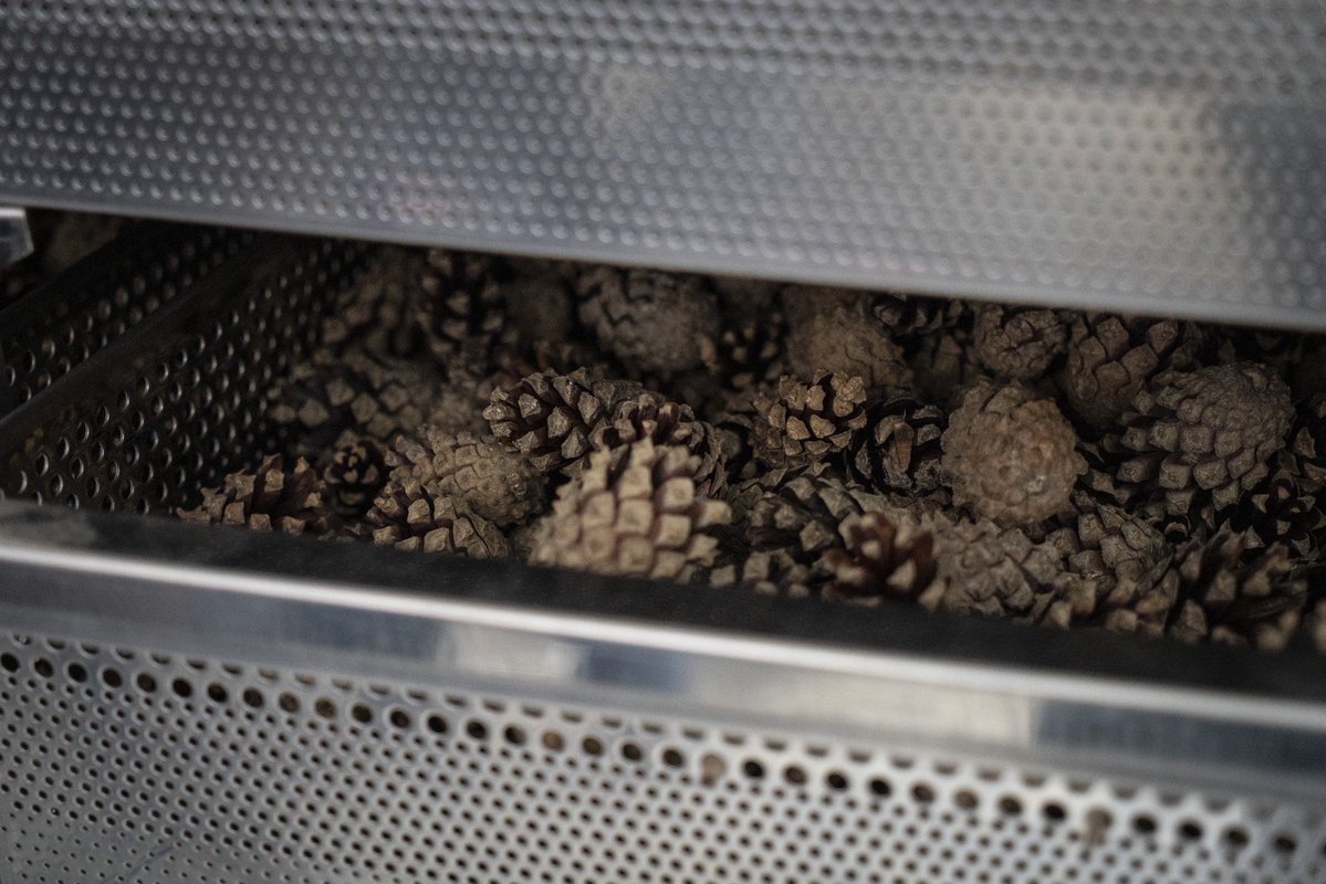 Viacheslav Chaus tweet media