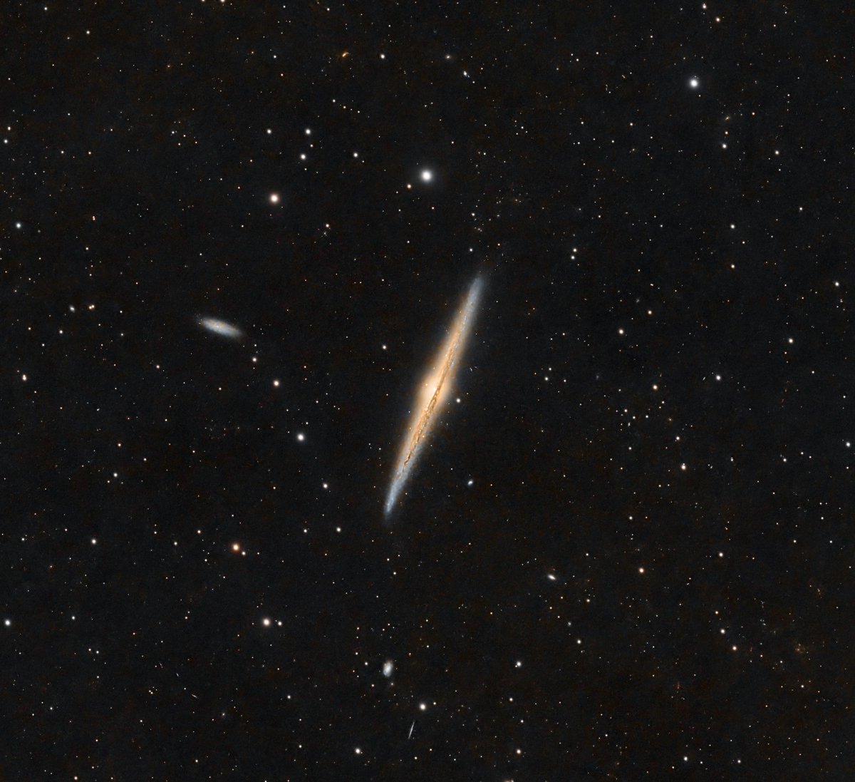 Sydenham007's tweet photo. NGC 4465 The Needle Galaxy from my back garden

#astrophotography #astronomy https://t.co/aqrGz6tFSl