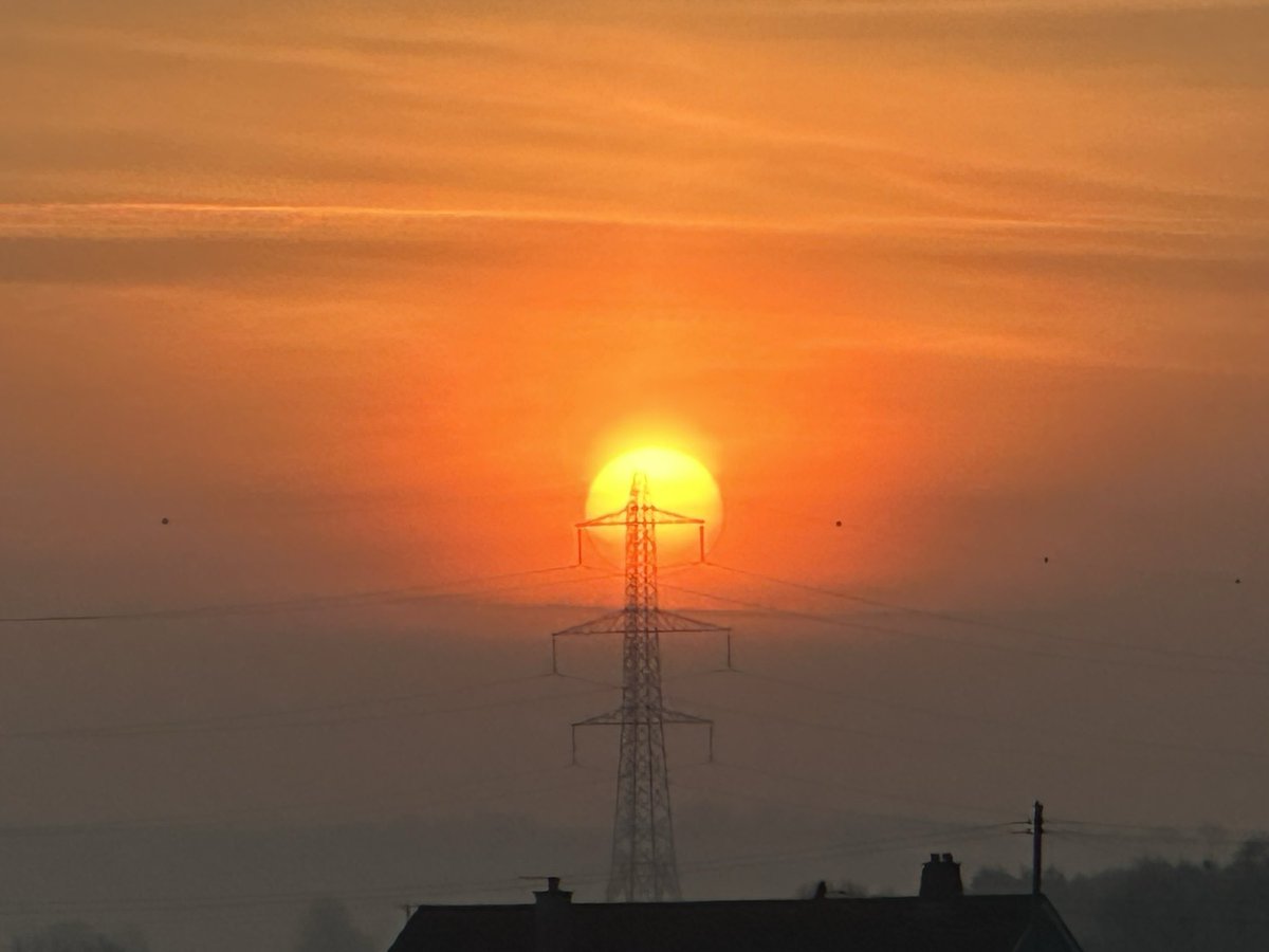 Sharon Welby📷 tweet media