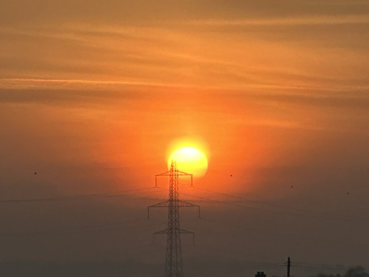 Sharon Welby📷 tweet media