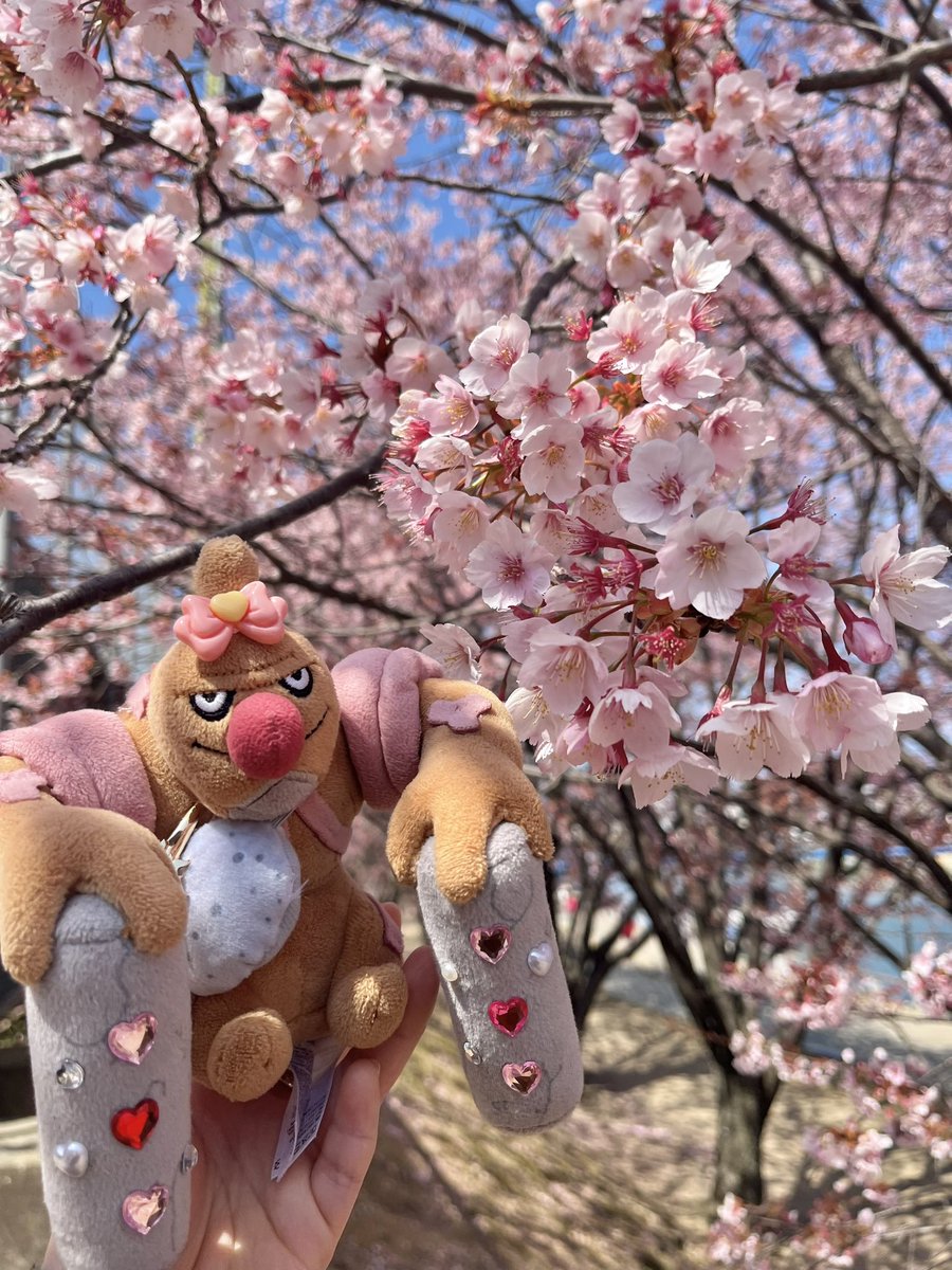 ローブシンの武士子 tweet media