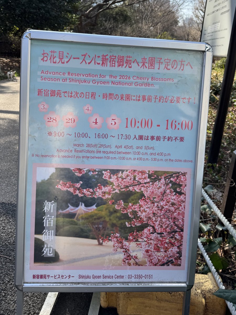 ぽん🐿️星箱Works(145cm) tweet media