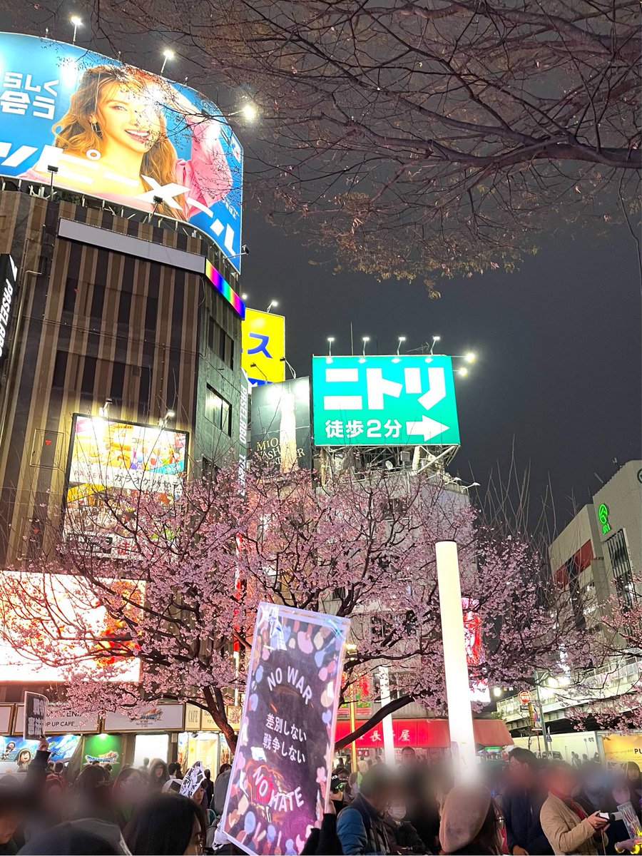 mari okada tweet media