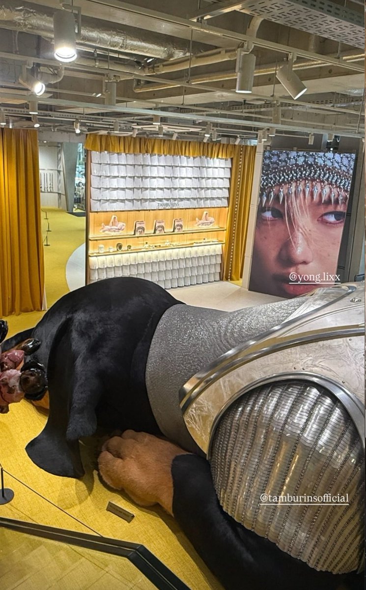 FELIX 𓃠 tweet media