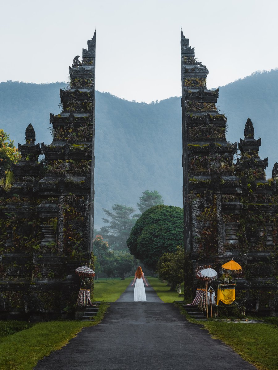 The World tweet media