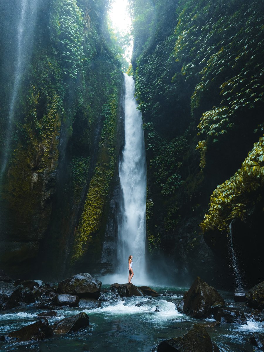 The World tweet media