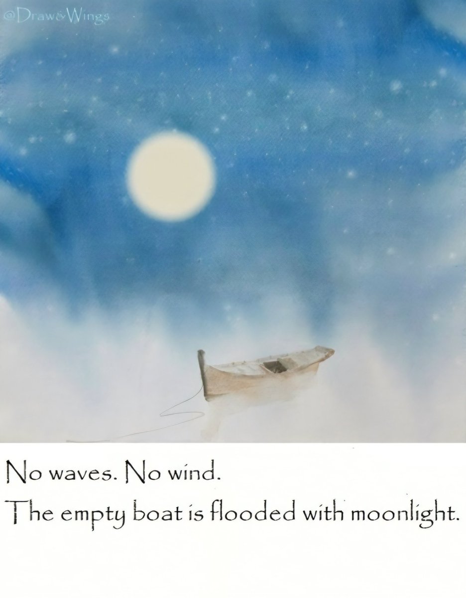 Solitary Owl tweet media