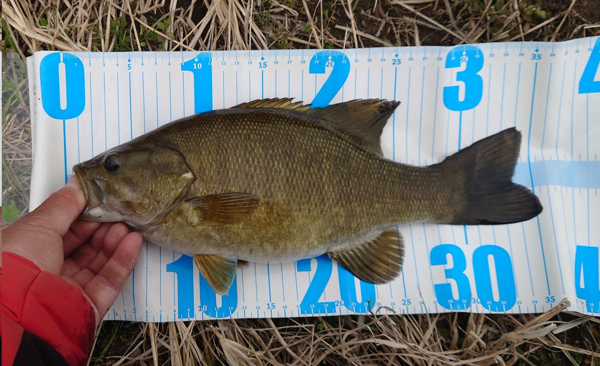 Noir(ノワール) tweet media