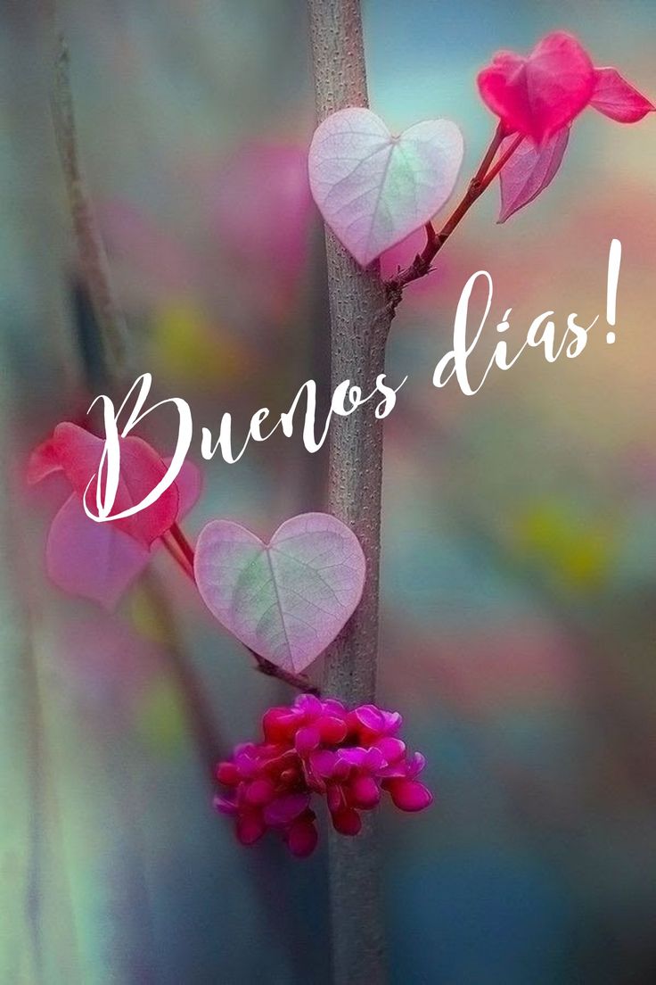 Televisión Avileña tweet media