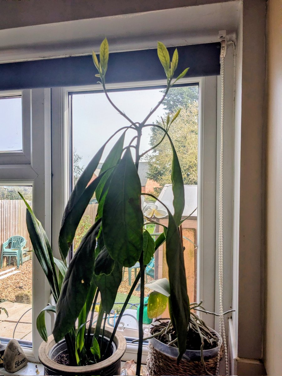 Martin (aka Hairy Hiker) tweet media