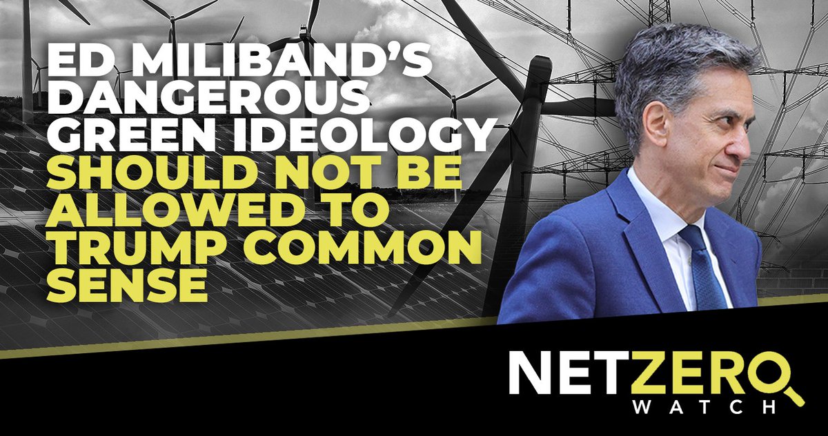 Net Zero Watch tweet media