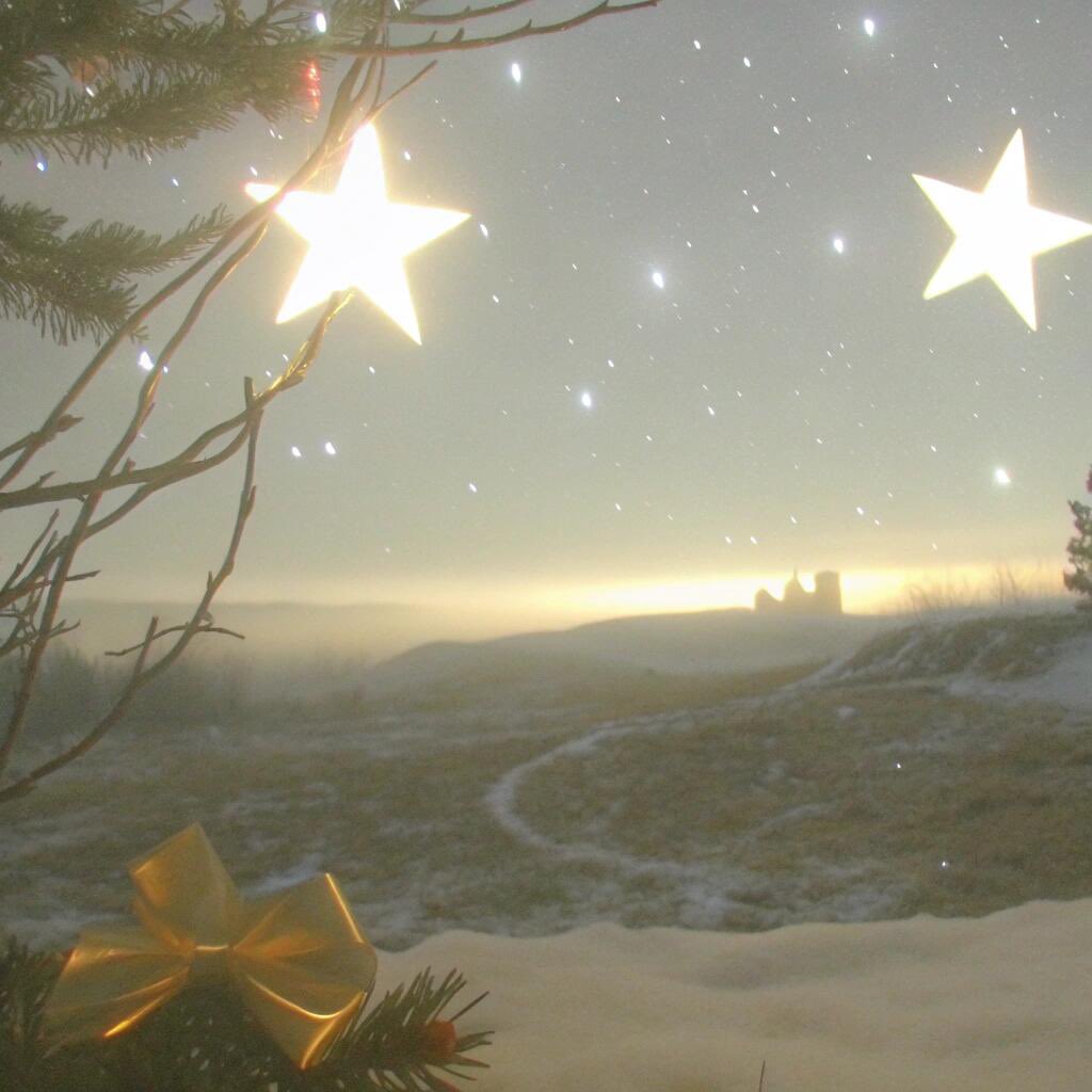 Bread case tweet media