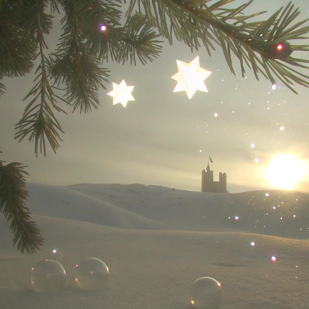 Bread case tweet media