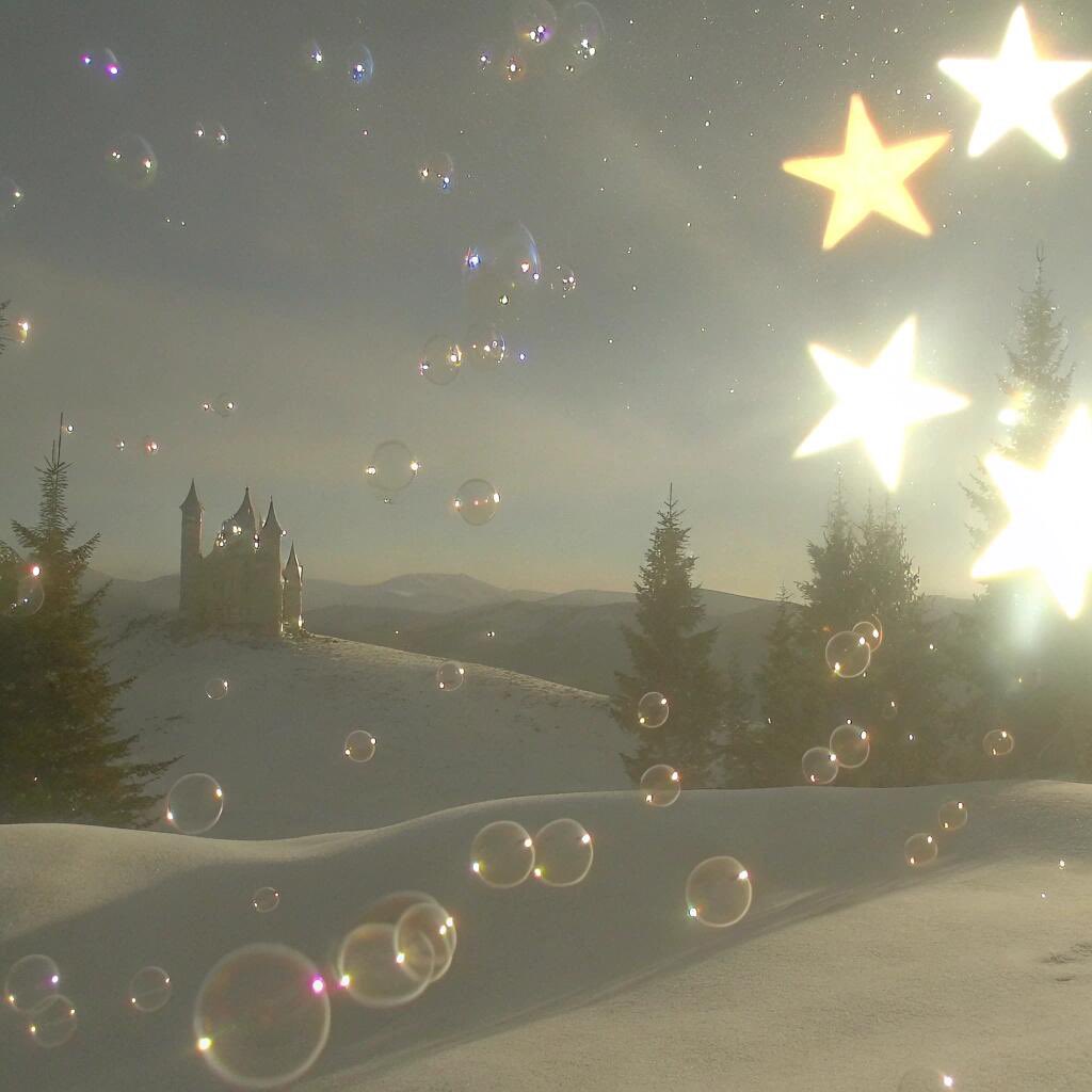 Bread case tweet media