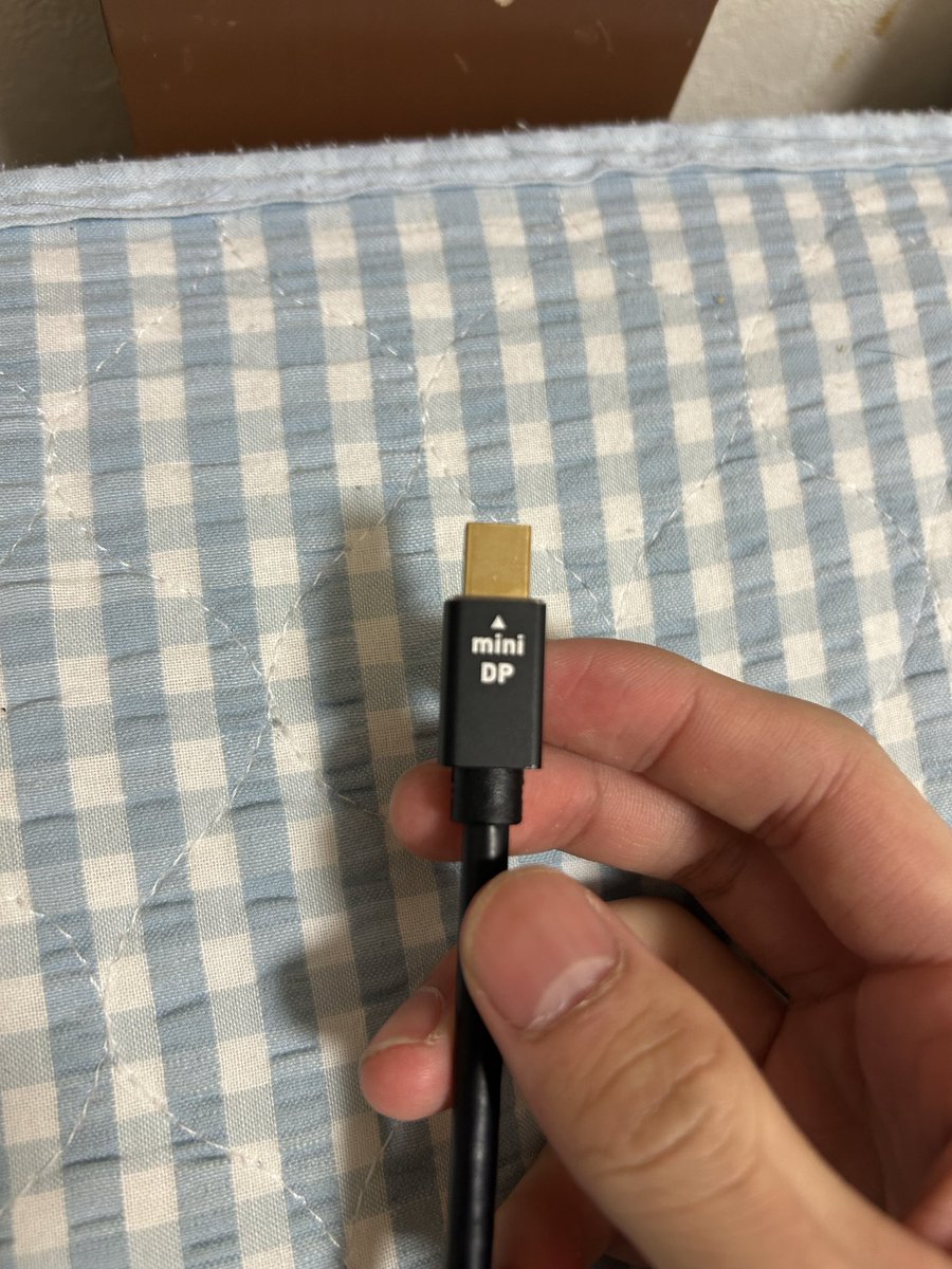 AREA310 / Muu tweet media