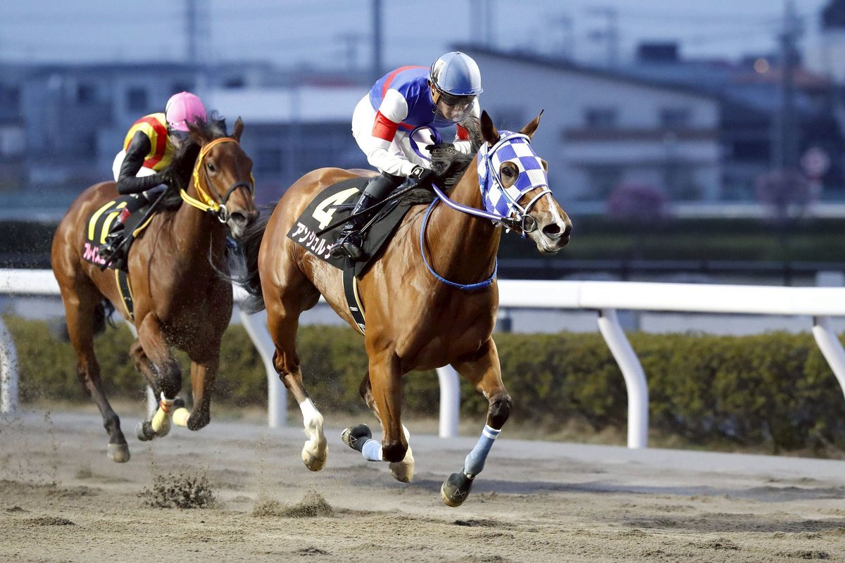 野畑凌 tweet media