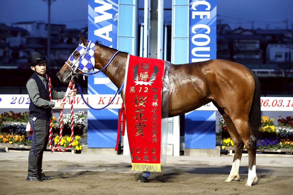 野畑凌 tweet media