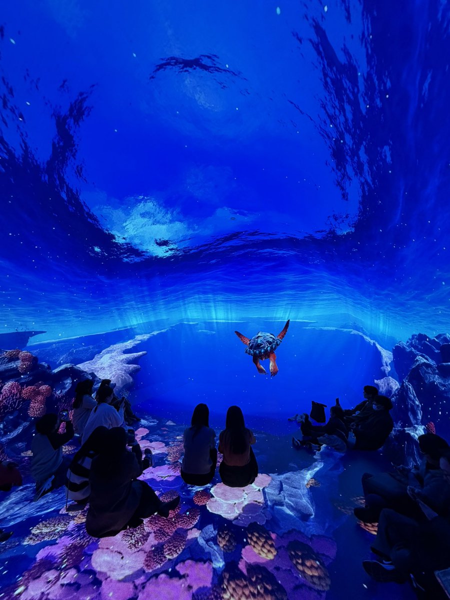 大森 峻太@インバウンド起業家 tweet media